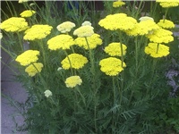 78ab644b-Picture 003.jpg